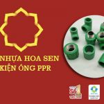 Bảng Giá Phụ Kiện Ống Nước Hoa Sen - PPR (Tổng Hợp Đầy Đủ)