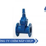 [Bảng Giá] Van ShinYi - Van Cổng Ty Chìm Nắp Chụp